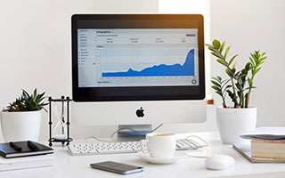 PG之选：让生活回归本真的美好